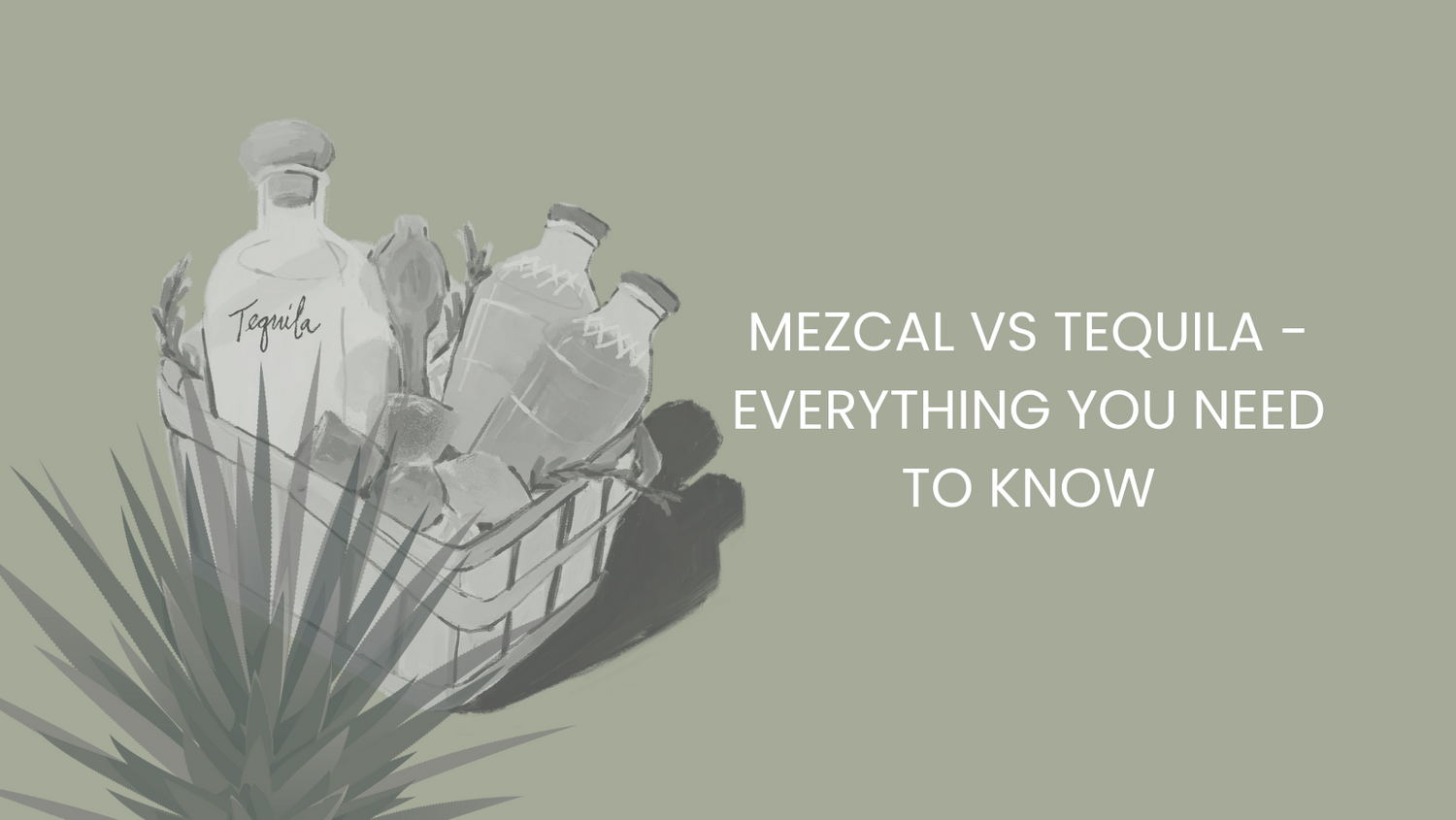 Mezcal vs Tequila - Everything you Need to Know