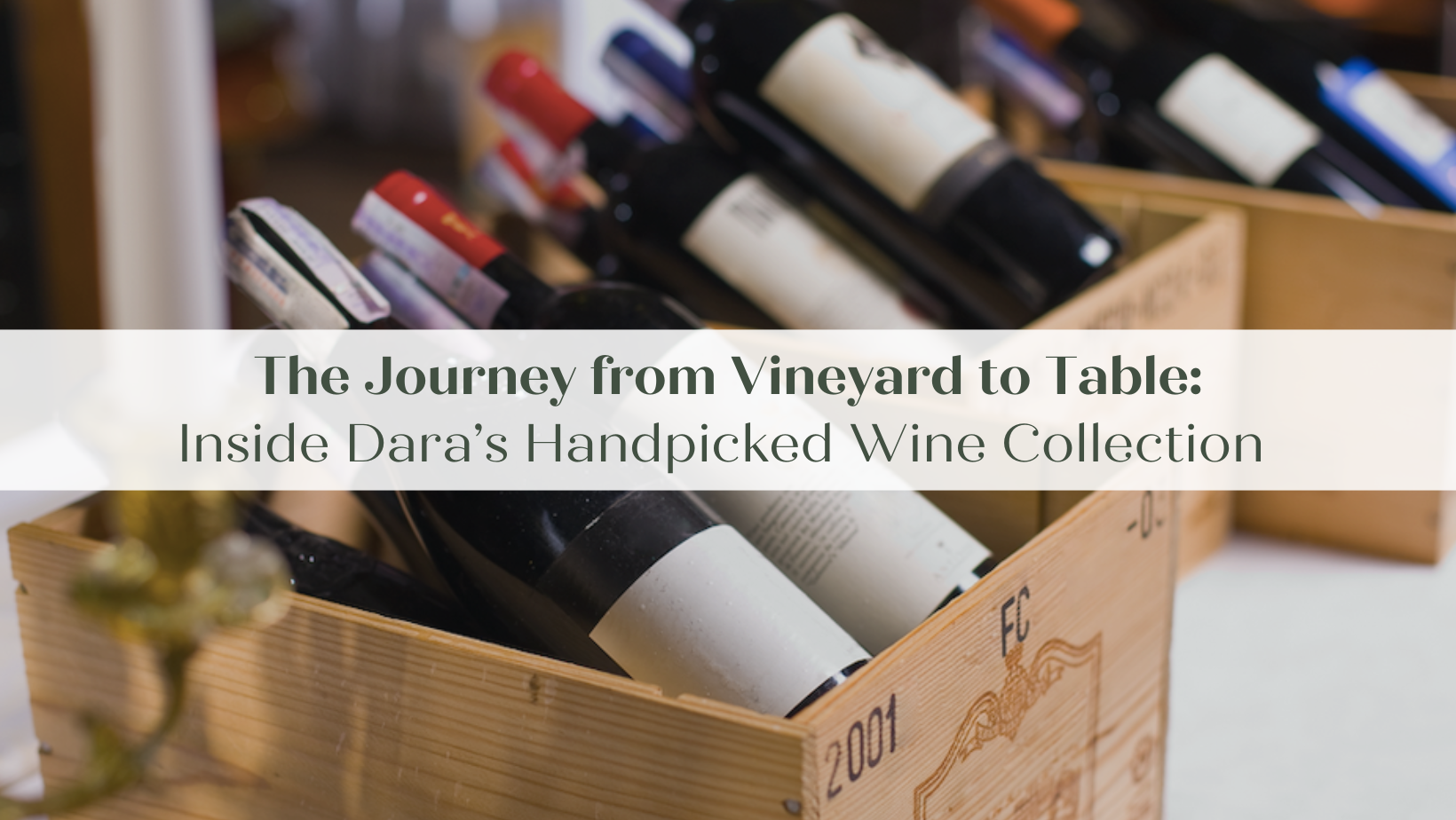 Vineyard to Table: Dara’s Handpicked Wine Collection
