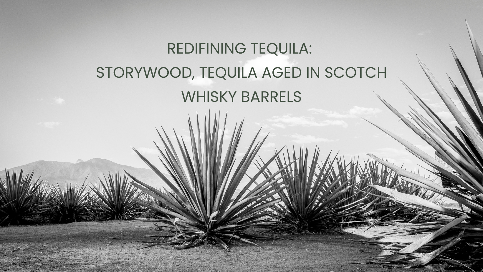 Redefining Tequila: Tequila aged in Scotch Whisky Barrels