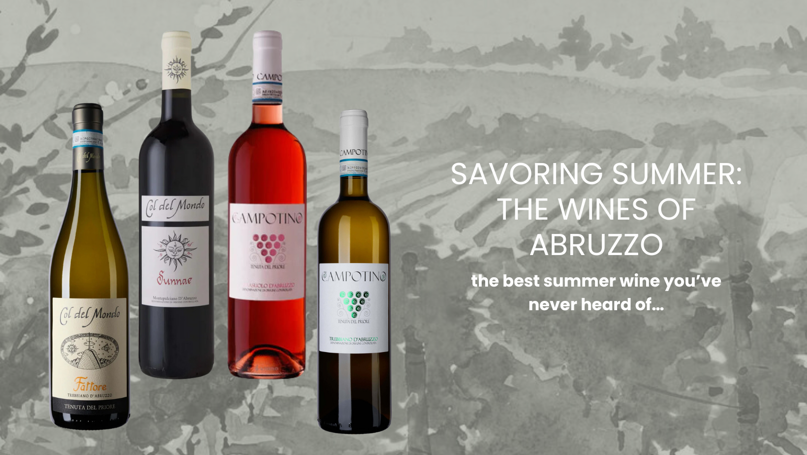 Savoring Summer: The Wines of Abruzzo