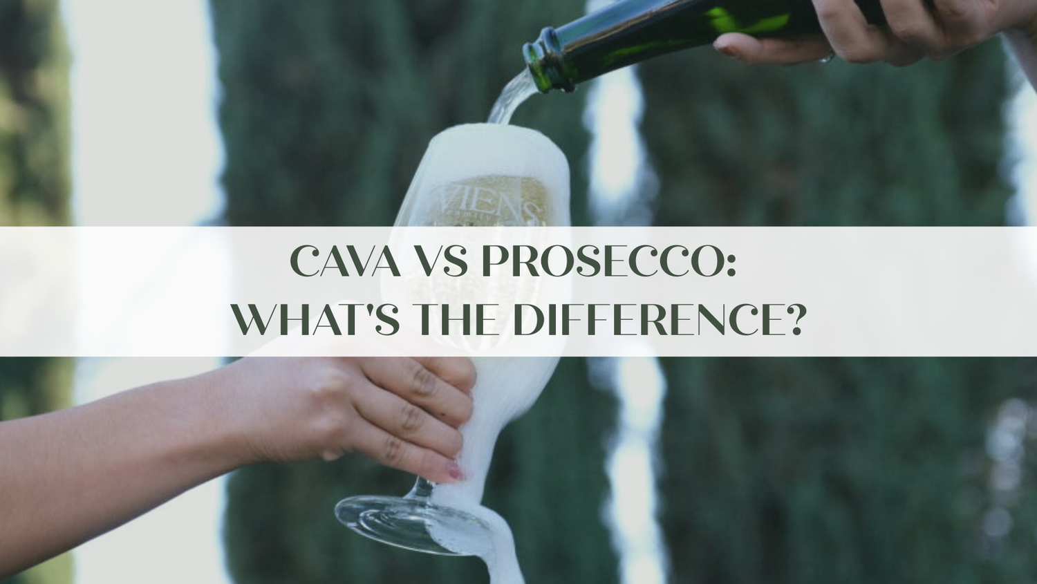 cava vs prosecco
