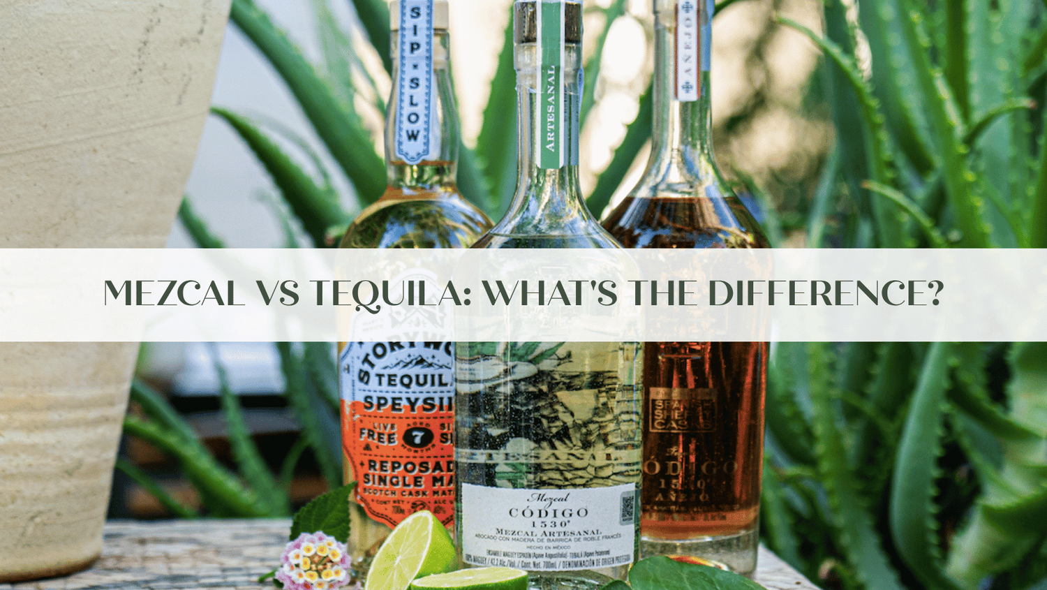 mezcal tequila