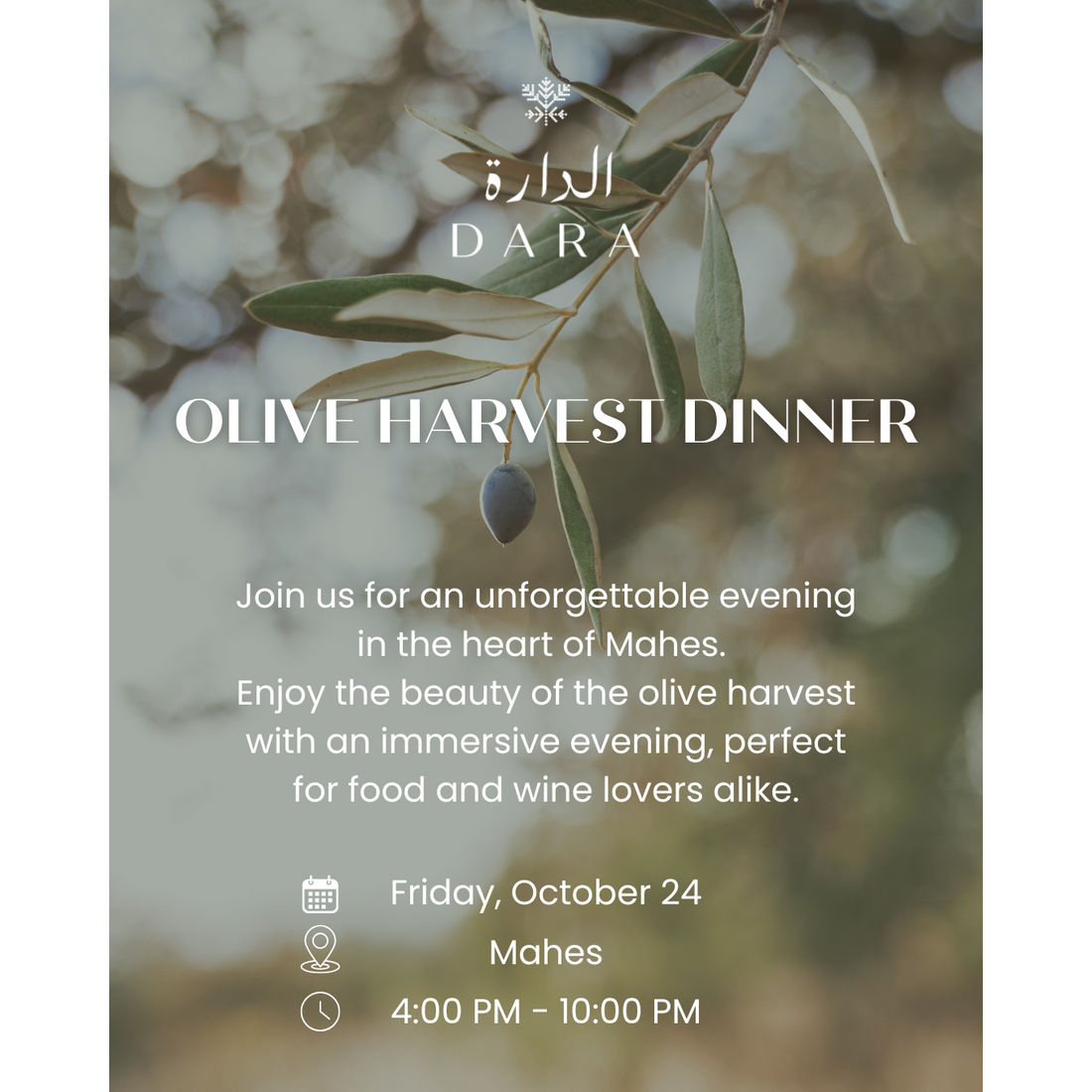 Olive Harvest Dinner