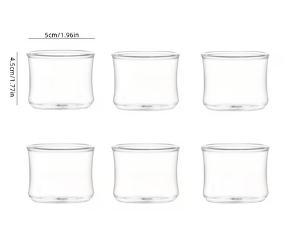 6pcs Minimalist Sake Glass Cup Set