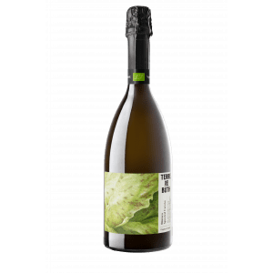 Terre Dei Buth Spumante Brut Bianco